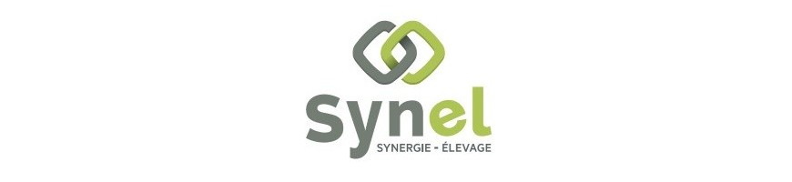 Synest