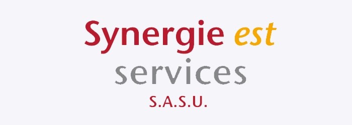 Synergie Est Services